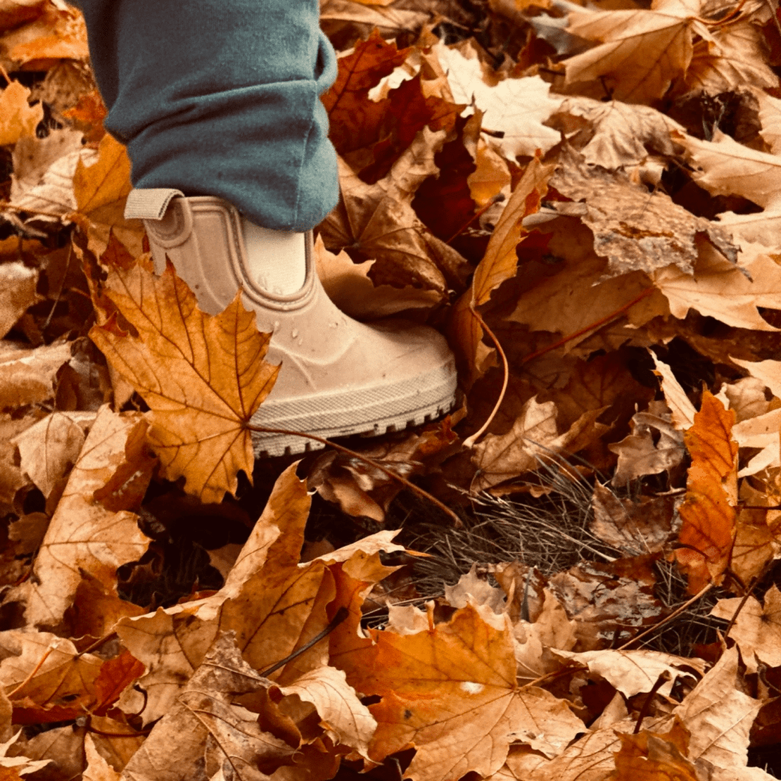 Leaves Hopper