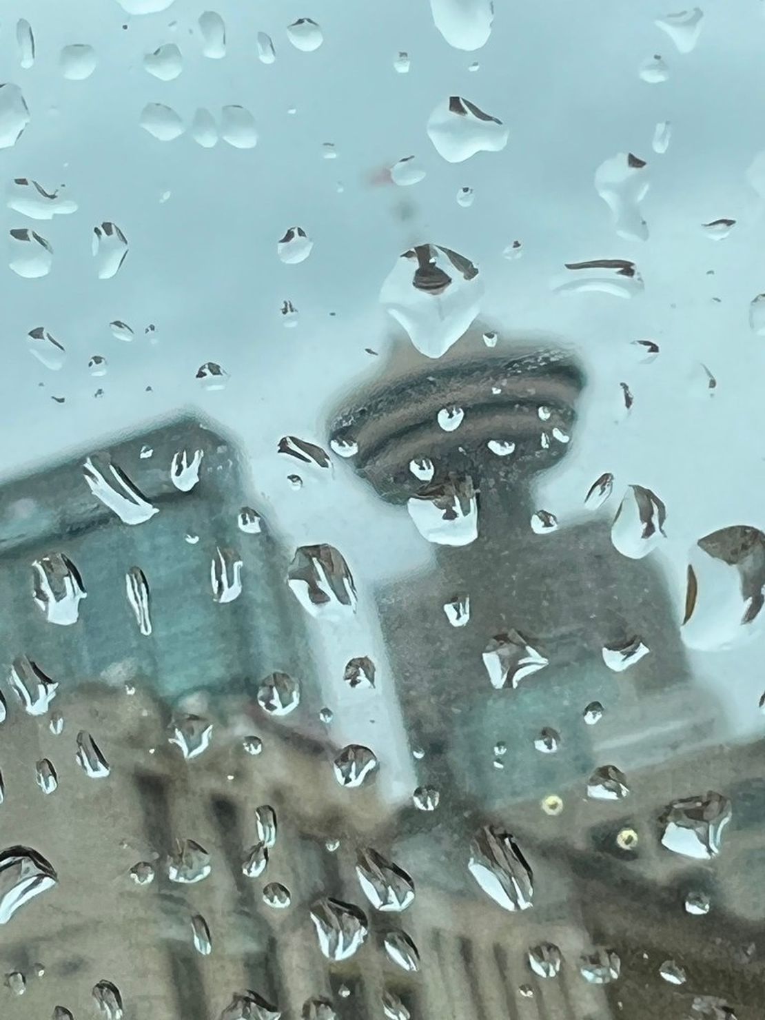 Rainy Lookout