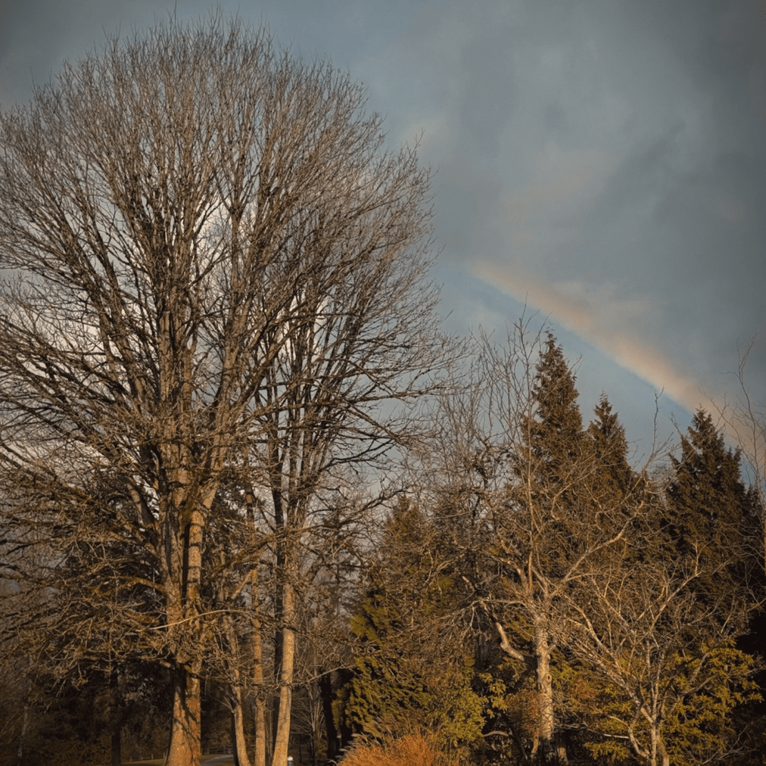 Winter Rainbows