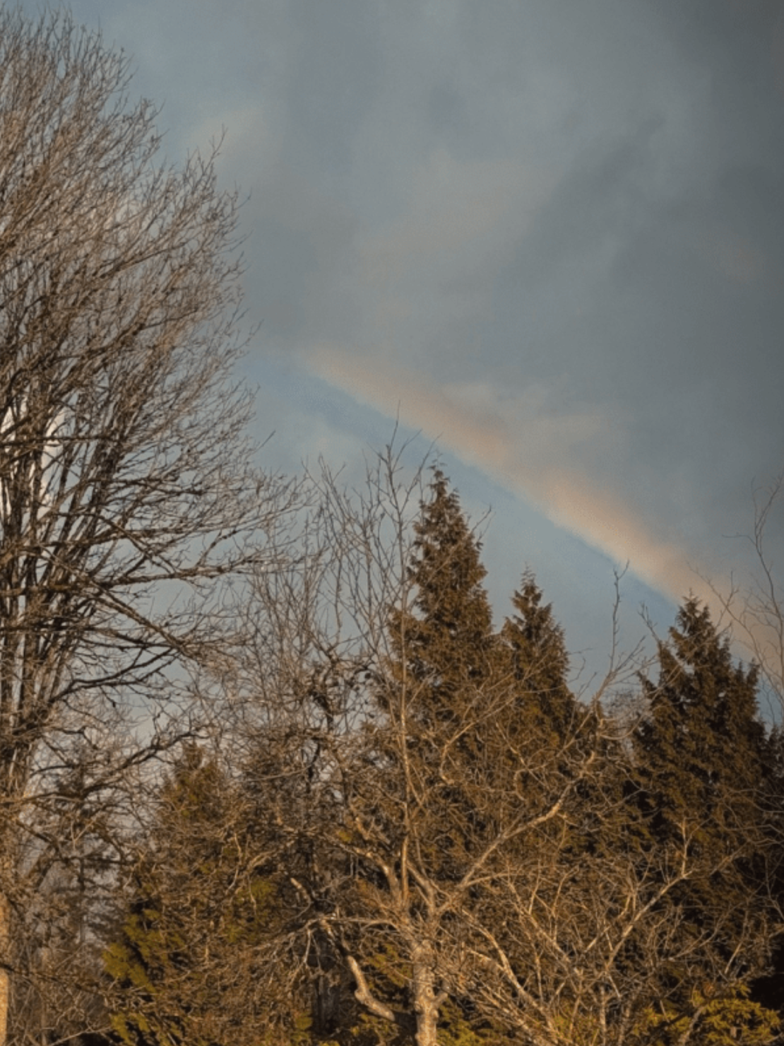 Winter Rainbows